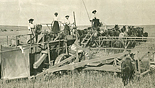 Ludwich & C.C. Doering's combined-harvester, Odessa, Wash. Aug. 31, 1908.